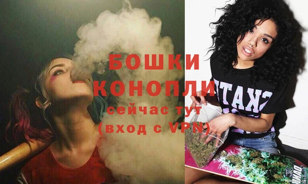 МДПВ Лагань